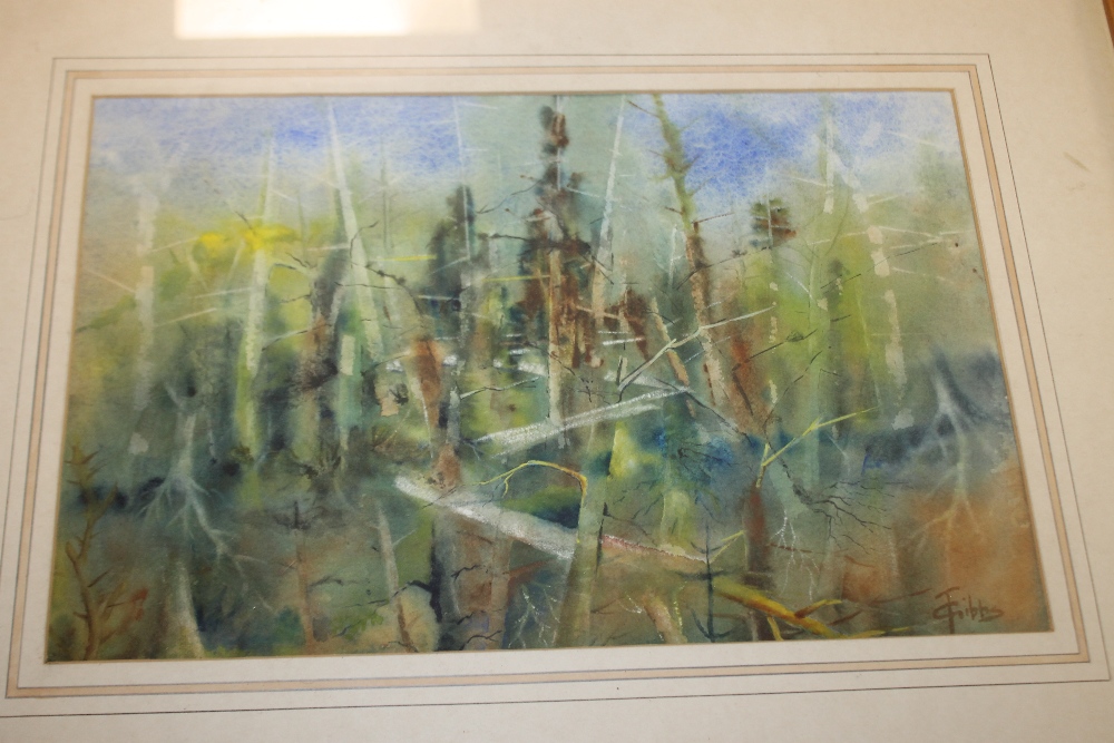 FOUR FRAMED WATERCOLOURS INCLUDING THREE COUNTRYSIDE SCENES SIGNED T. GIBBS - Image 2 of 5