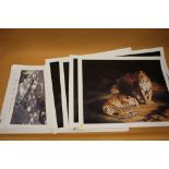 A QUANTITY OF ASSORTED UNFRAMED PRINTS