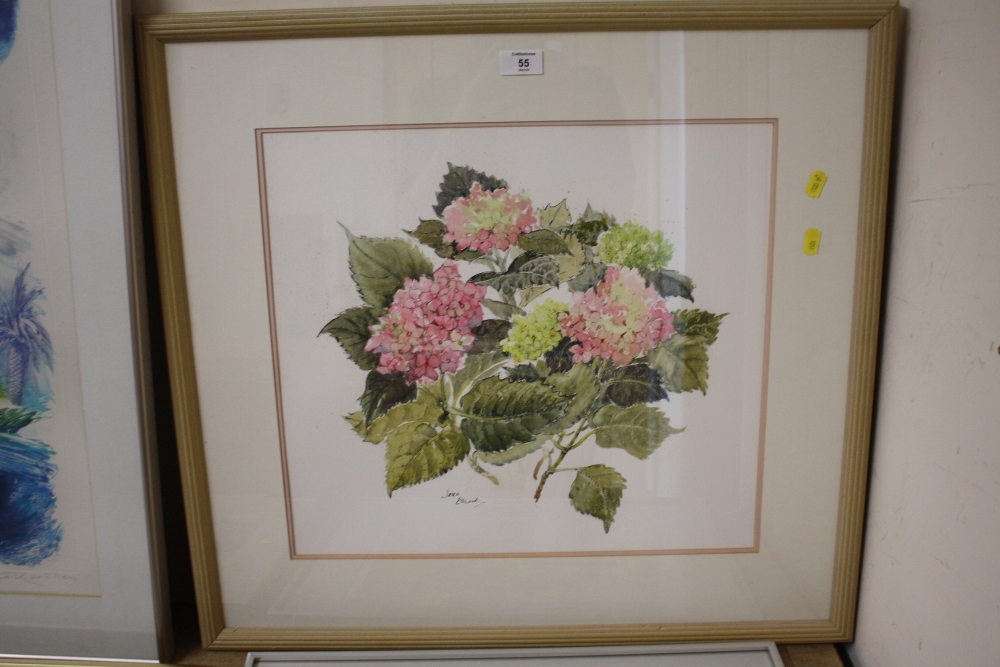 JEAN ELLWOOD - A FRAMED AND GLAZED WATERCOLOUR OF PINK HYDRANGEAS - SIZE INC FRAME - 67CM X 64.5 CM