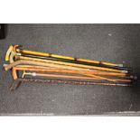 A COLLECTION OF VINTAGE WALKING STICKS (8)