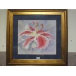 A LARGE FRAMED AND GLAZED WATERCOLOUR OF A LILY SIGNED LOWER RIGHT JOANNA WOODS