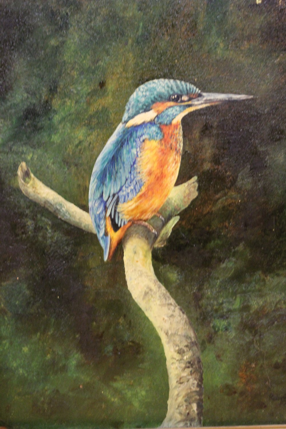 TWO FRAMED OIL ON BOARDS DEPICTING A KINGFISHER - OVERALL SIZE 45CM X 55CM - AND A FOX SIGNED - Image 3 of 6