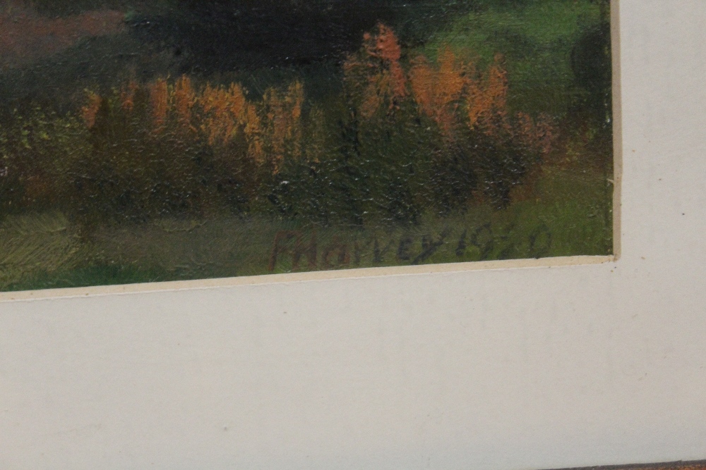 A FRAMED AND GLAZED OIL PAINTING DEPICTING AN IMPRESSIONIST LANDSCAPE SIGNED F HARVEY LOWER - Image 3 of 4