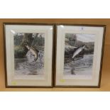 TIM HAVERS - A PAIR OF FRAMED AND GLAZED SIGNED LIMITED EDITION PRINTS OF TROUT 48/250 - OVERALL