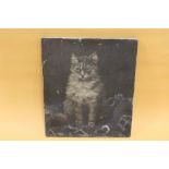 AN UNFRAMED 1903 OIL ON CANVAS DEPICTING A SEATED CAT SIGNED E KIRWAN - OVERALL SIZE 41 X 35.5 CM