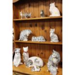 A COLLECTION OF CERAMIC CAT FIGURES TO INCLUDE A BESWICK SEATED WHITE CAT 1867 (13)