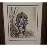 A FRAMED LIMITED EDITION PRINT OF A TIGER SIGNED STEPHEN GAYFORD, APPROX. 41 X 50 CM