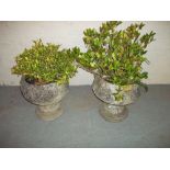 TWO CONCRETE PLANTERS WITH BASES