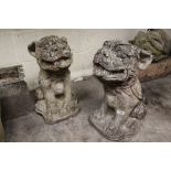 A PAIR OF STONE GARDEN DOGS OF FOE SEATED STATUES H-51CM