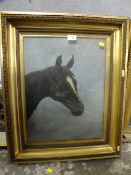 AN ANTIQUE GILT FRAMED AND GLAZED OIL ON CANVAS DEPICTING A HORSES HEAD INITIALLED D.A.H' TOGETHER
