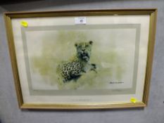 DAVID SHEPHERD - A FRAMED AND GLAZED SIGNED LIMITED EDITION PRINT OF A CHEETAH 287/850