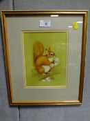 DAVID THOMPSON - A FRAMED AND GLAZED WATERCOLOUR DEPICTING A RED SQUIRREL OVERALL SIZE INCLUDING
