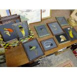 A QUANTITY OF ORNITHOLOGICAL REVERSE PAINTINGS ON GLASS - MAINLY TROPICAL / EXOTIC BIRDS