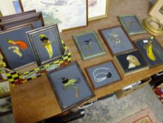 A QUANTITY OF ORNITHOLOGICAL REVERSE PAINTINGS ON GLASS - MAINLY TROPICAL / EXOTIC BIRDS