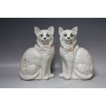 A PAIR OF LATE 19TH / EARLY 20TH CENTURY STAFFORDSHIRE CATS, with registration marks to base, H 31