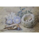FREDERICK FLOCKTON (XIX). Still life study of flowers, birds nest and a dead bird in a mossy