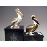 A ROYAL CROWN DERBY LIMITED EDITION WHITE PELICAN PAPERWEIGHT, gold stopper,429 / 5000, with box and