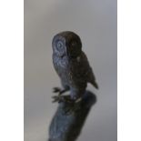 AN AUSTRIAN TYPE COLD PAINTED BRONZE OF AN OWL, H 4 cm