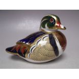 A ROYAL CROWN DERBY CAROLINA DUCK PAPERWEIGHT, gold stopper, with box, W 13.5 cm