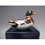 A ROYAL CROWN DERBY MALLARD DUCK PAPERWEIGHT, gold stopper, with box, W 13.5 cm