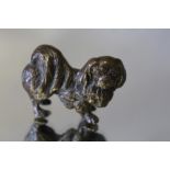 AN AUSTRIAN TYPE BRONZE OF A PEKINGESE DOG, W 5 cm