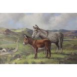 JESSE HEYDEN (XX). Irish school, stormy mountainous landscape at Tyrella, Co. Down, with two donkeys