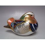 A ROYAL CROWN DERBY MANDARIN DUCK PAPERWEIGHT, gold stopper, with box, W 12.5 cm