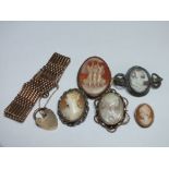 A COLLECTION OF VINTAGE CAMEO BROOCHES, various designs and periods, to include a Victorian oval