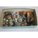 A COLLECTION OF FOSSILS AND ROCK SAMPLES, to include various polished stones and crystals