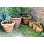 THREE LARGE PLASTIC PLANT POTS TOGETHER WITH THREE SMALLER CERAMIC EXAMPLES PLUS CONTENTS