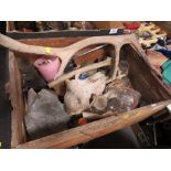 A BOX OF VINTAGE CHEMISTRY BOTTLES, ANTLERS, ANIMAL SKULL ETC.