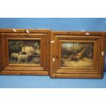 A PAIR OF FRAMED OIL PAINTINGS ON BOARD OF A PHEASANT AND A SHEEP