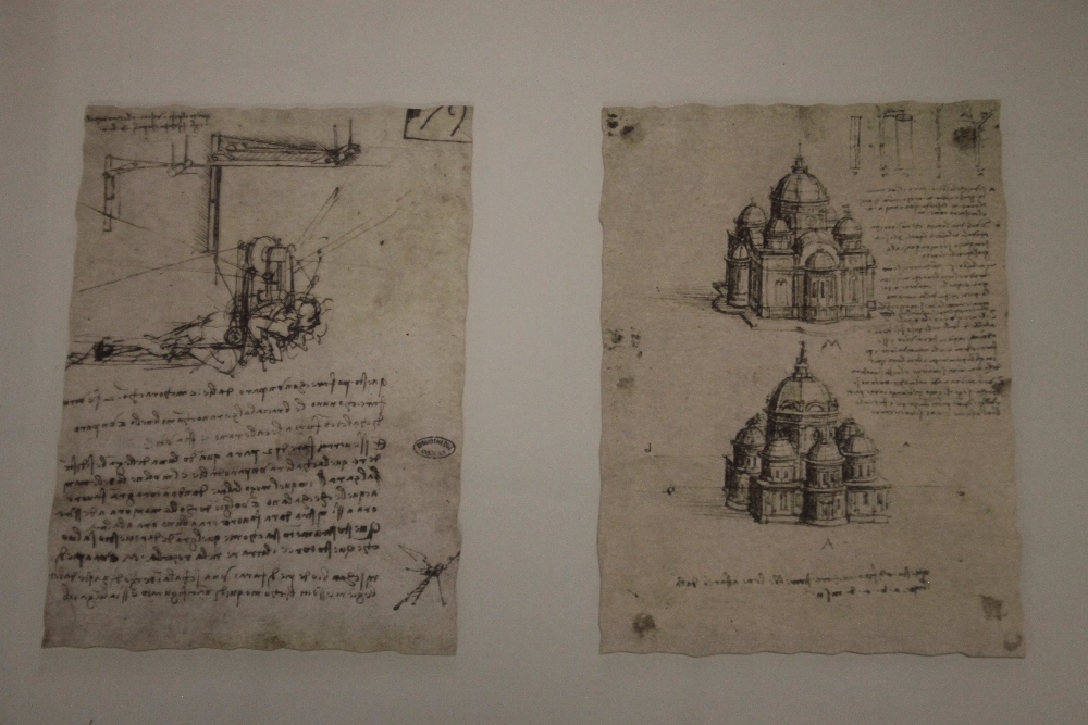 A FRAMED AND GLAZED REPRODUCTION PICTURE OF DRAWINGS AFTER LEONARDO DA VINCI OF WING MECHANISMS - Image 2 of 5