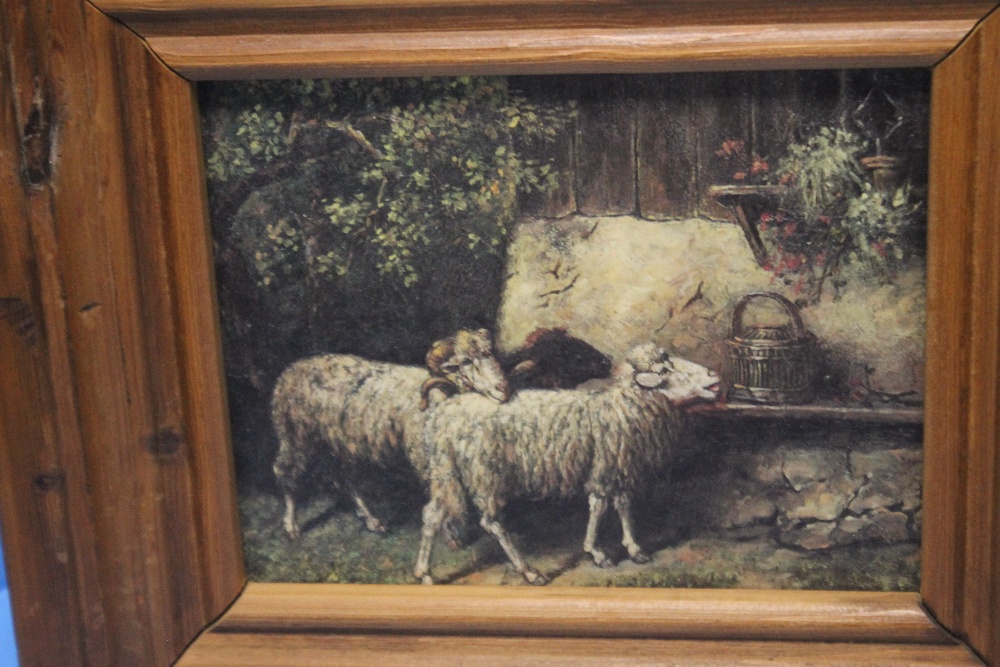 A PAIR OF FRAMED OIL PAINTINGS ON BOARD OF A PHEASANT AND A SHEEP - Image 3 of 3