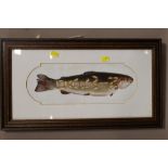 A FRAMED AND GLAZED ACRYLIC OF A TROUT BY S J PRESTON