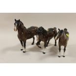 THREE BROWN BESWICK HORSES