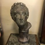 A LATE 19TH / EARLY 20TH CENTURY PATINATED PLASTER LIBRARY BUST (AFTER AN ANTIQUE CLASSICAL MARBLE