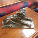 A LARGE CAST BRONZE FIGURE OF A RECLINING BULL MASTIFF DOG WITH GLASS EYES, SIGNED D'ORSAY TO BACK