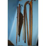 A QUANTITY OF WALKING CANES, UMBRELLA ETC.