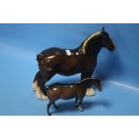 A BESWICK SHIRE HORSE A/F TOGETHER WITH ANOTHER BESWICK HORSE