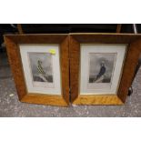 A PAIR OF MAPLE FRAMED HAND COLOURED ENGRAVINGS DEPICTING JOCKEYS (2)