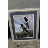 A FRAMED WATERCOLOUR DEPICTING MAGPIES BY GRAHAM JAMES COLBOURNE, INSCRIBED VERSO