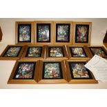 A SET OF TWELVE FRAMED COALPORT MARIANNE NORTH'S FLORAL GALLERY LIMITED EDITION CERAMIC PLAQUES,