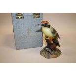 A BOXED ROYAL CROWN DERBY WOODPECKER FIGURE SIGNED K WOOD TO BASE