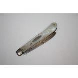 A LARGE HALLMARKED SILVER AND MOTHER OF PEARL FRUIT KNIFE