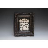 A MODERN FRAMED GRAND TOUR STYLE INTAGLIO DISPLAY, W 31 cm