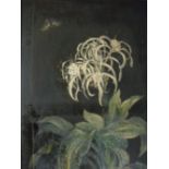 (XIX). Continental school, still life study of a plant and butterfly, unsigned, oil on canvas,