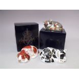 A ROYAL CROWN DERBY COLLECTORS GUILD EXCLUSIVE 'CAT NIP KITTEN' PAPERWEIGHT, gold stopper, boxed,