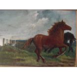 (XIX-XX). Stormy moorland scene with horses. signed lower left, oil on board, framed and glazed,