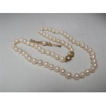 A SINGLE STRAND HAND KNOTTED CULTURED PEARL NECKLACE WITH 9CT GOLD CLASP, approximate L 47 cm,